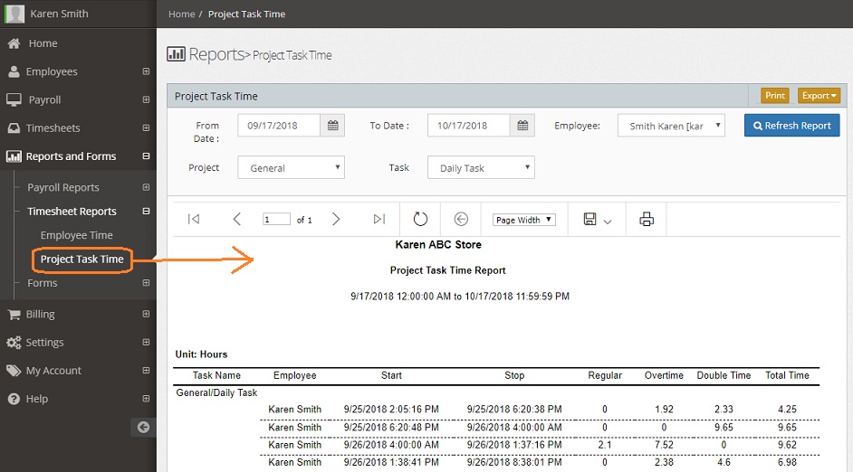 project task report