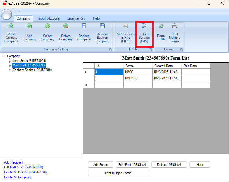 Screenshot of E-File Service